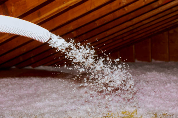 Types of Insulation We Offer in Sandy Valley, NV