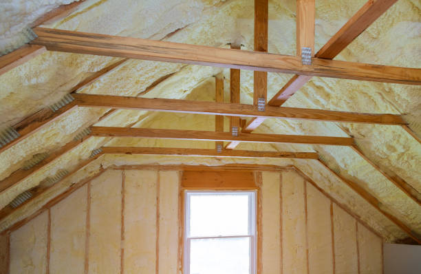 Best Cellulose Insulation in Sandy Valley, NV